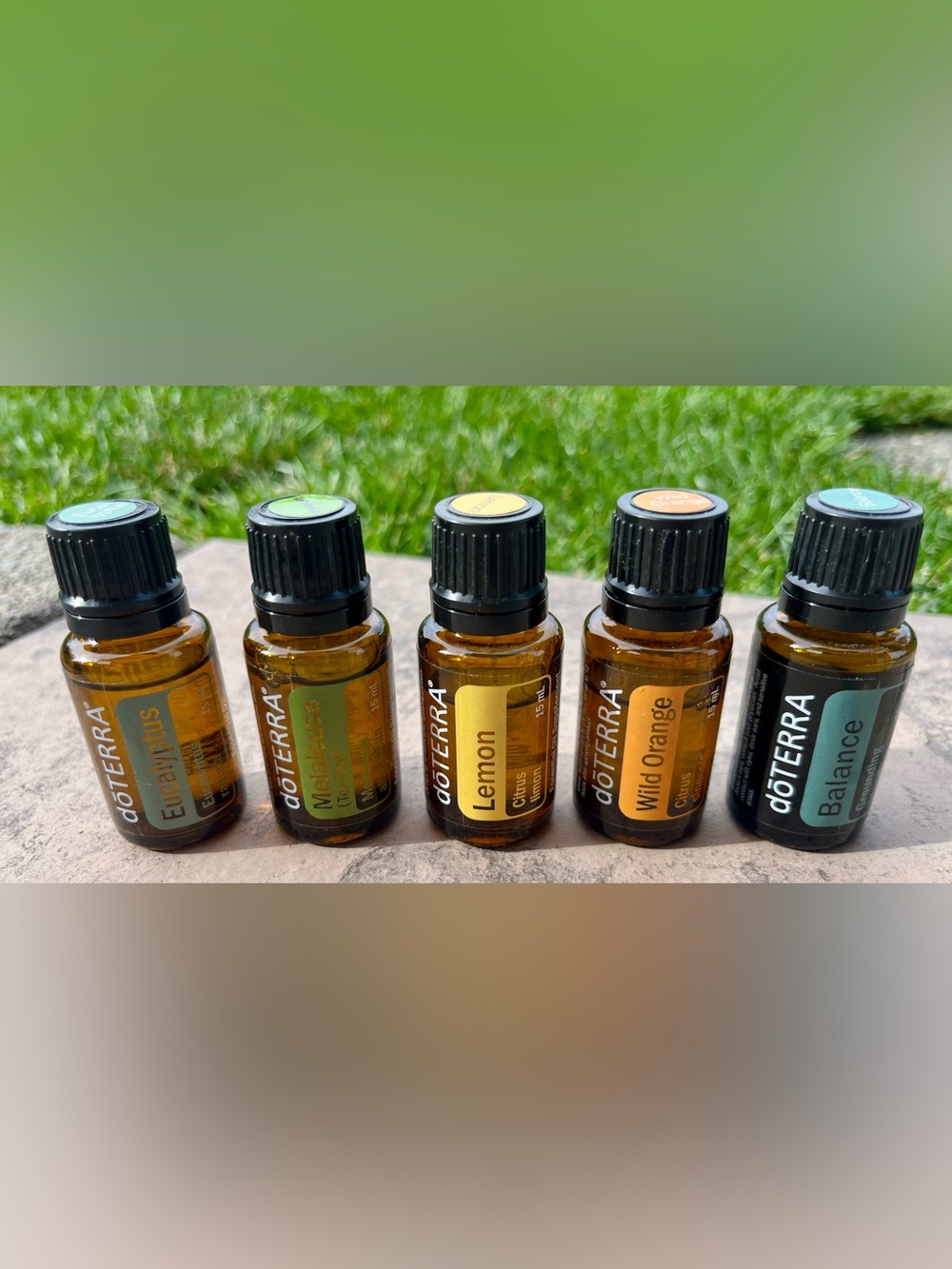 Doterra Eucalyptus, Lemon, Melaleuca, Balance, & Wild Orange Essential Oils - Picture 2 of 9